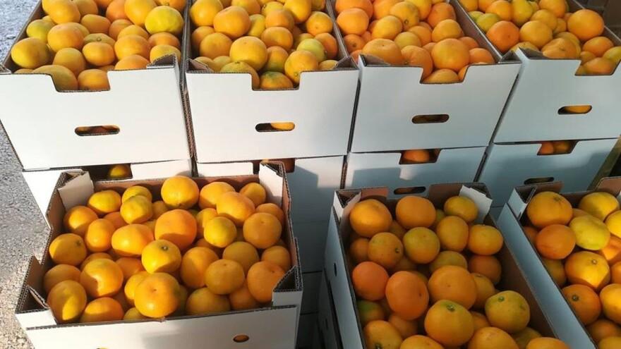Slučaj kod Gruda: Spriječen šverc četiri tone mandarina