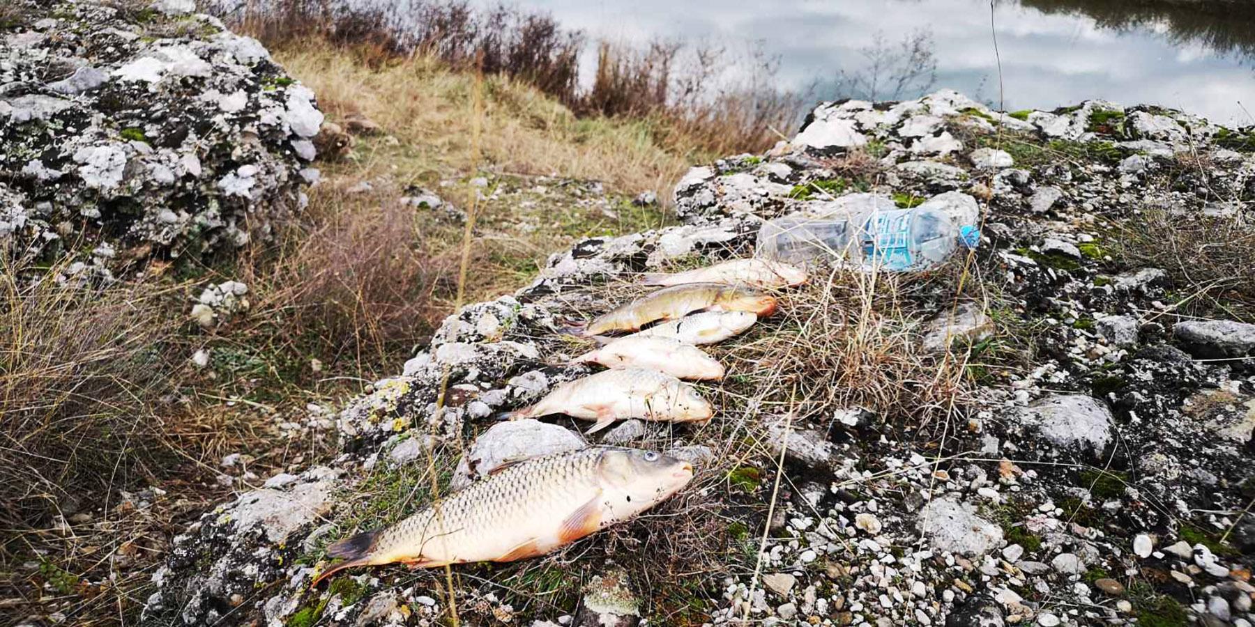 SDP Mostar: ''Uborak'' je deponija smrti i mora biti zatvorena!