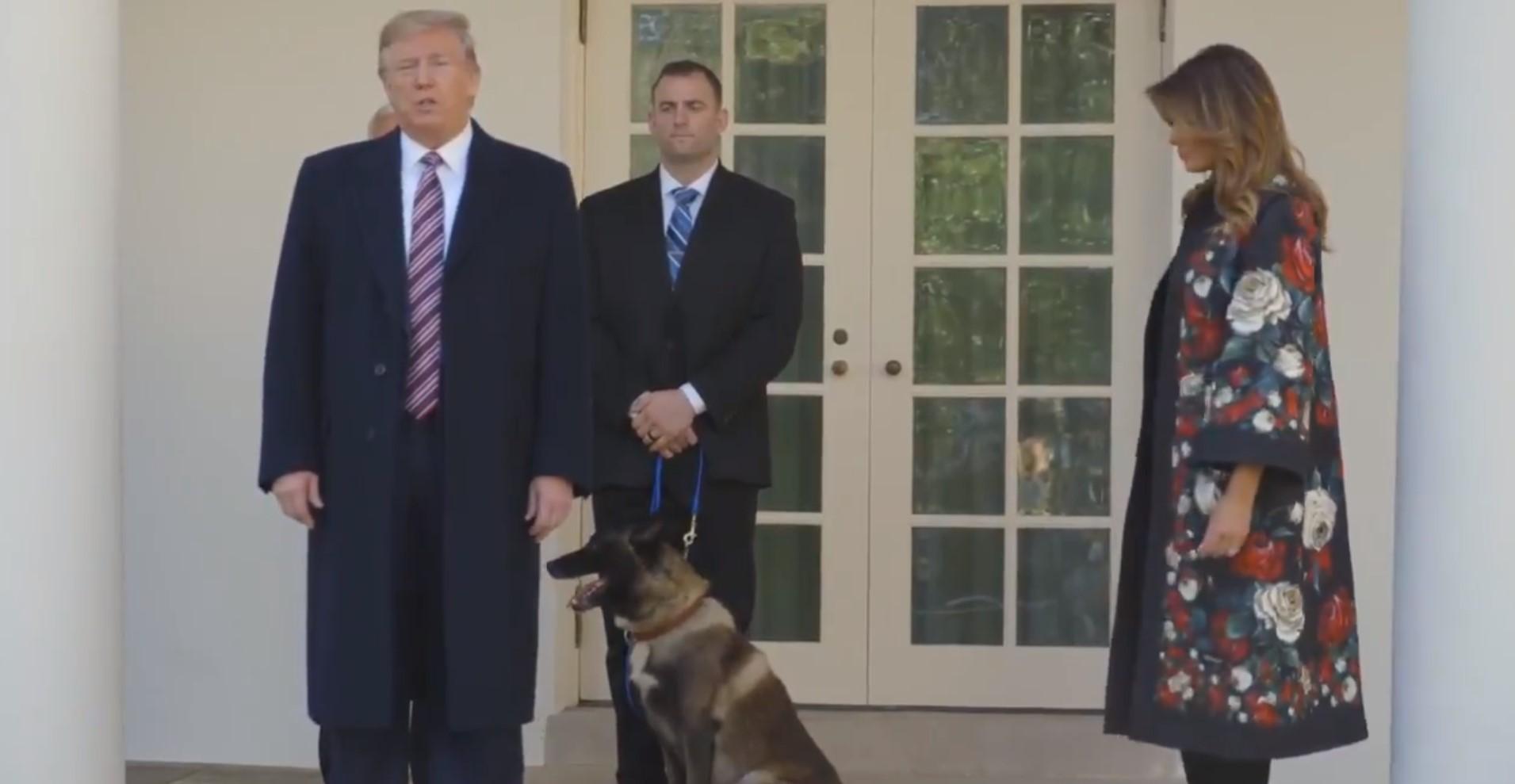 Tramp odlikovao vojnog psa ranjenog u akciji ubijanja vođe "ISIL-a"