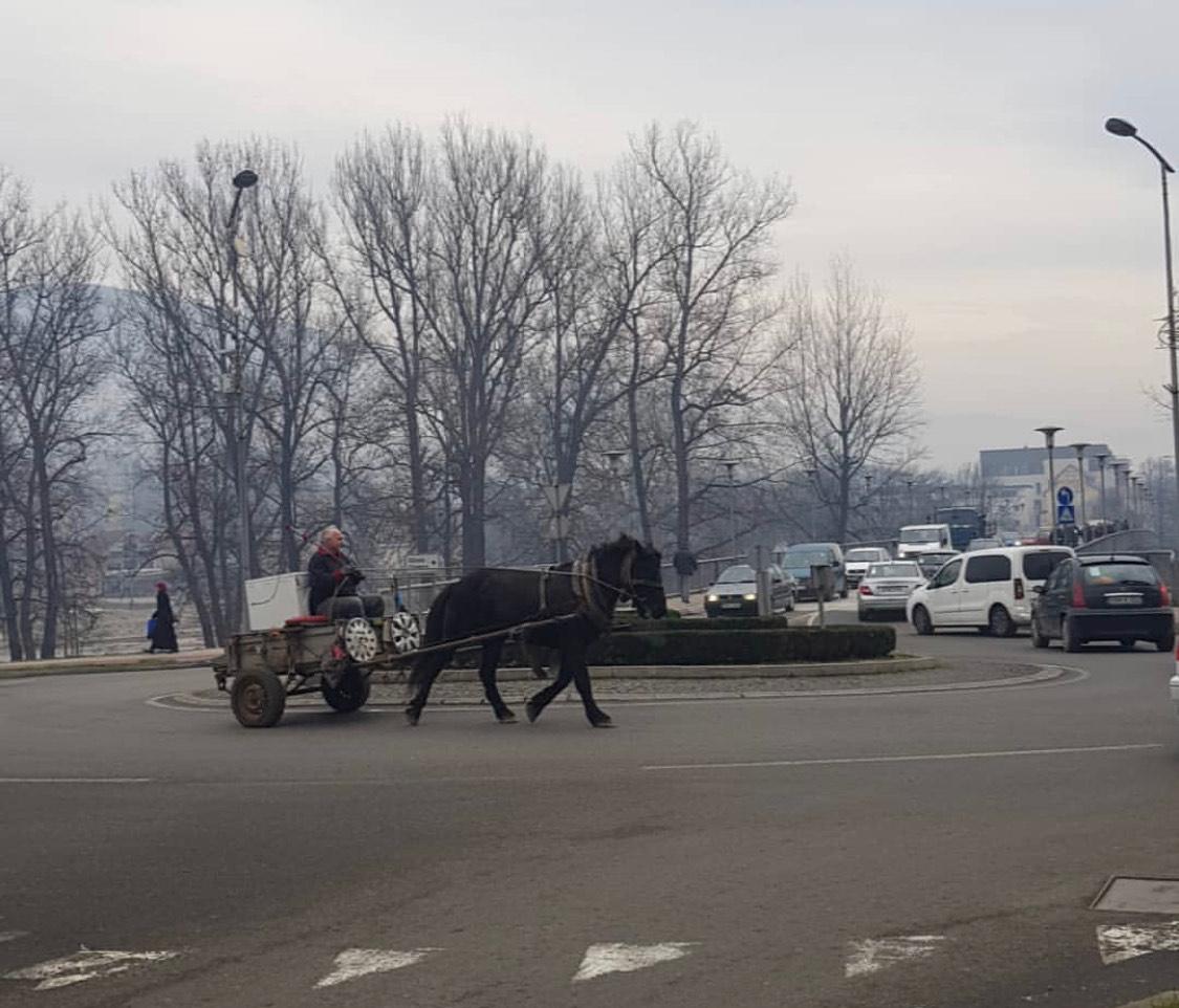 Zeničanin usred grada vozio konjska kola