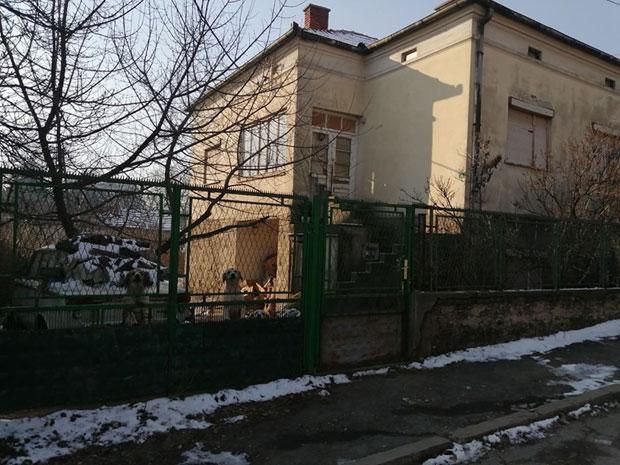 Kuća u kojoj živi starica Stanija - Avaz