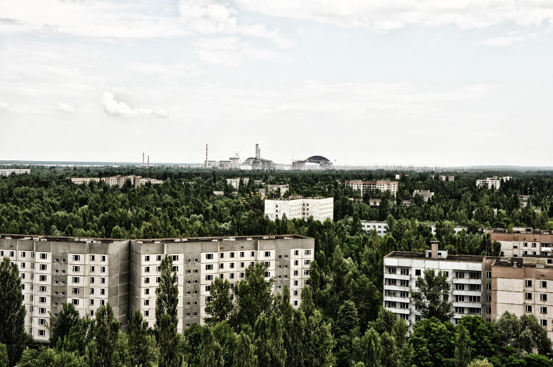 Zabrinjavajući podaci: Šume oko Černobila ne razgrađuju se kako bi trebale