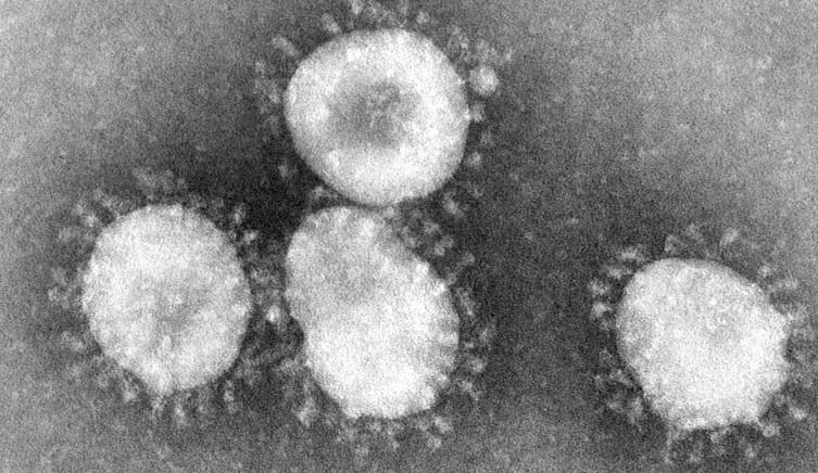 Koronavirus se širi svijetom - Avaz