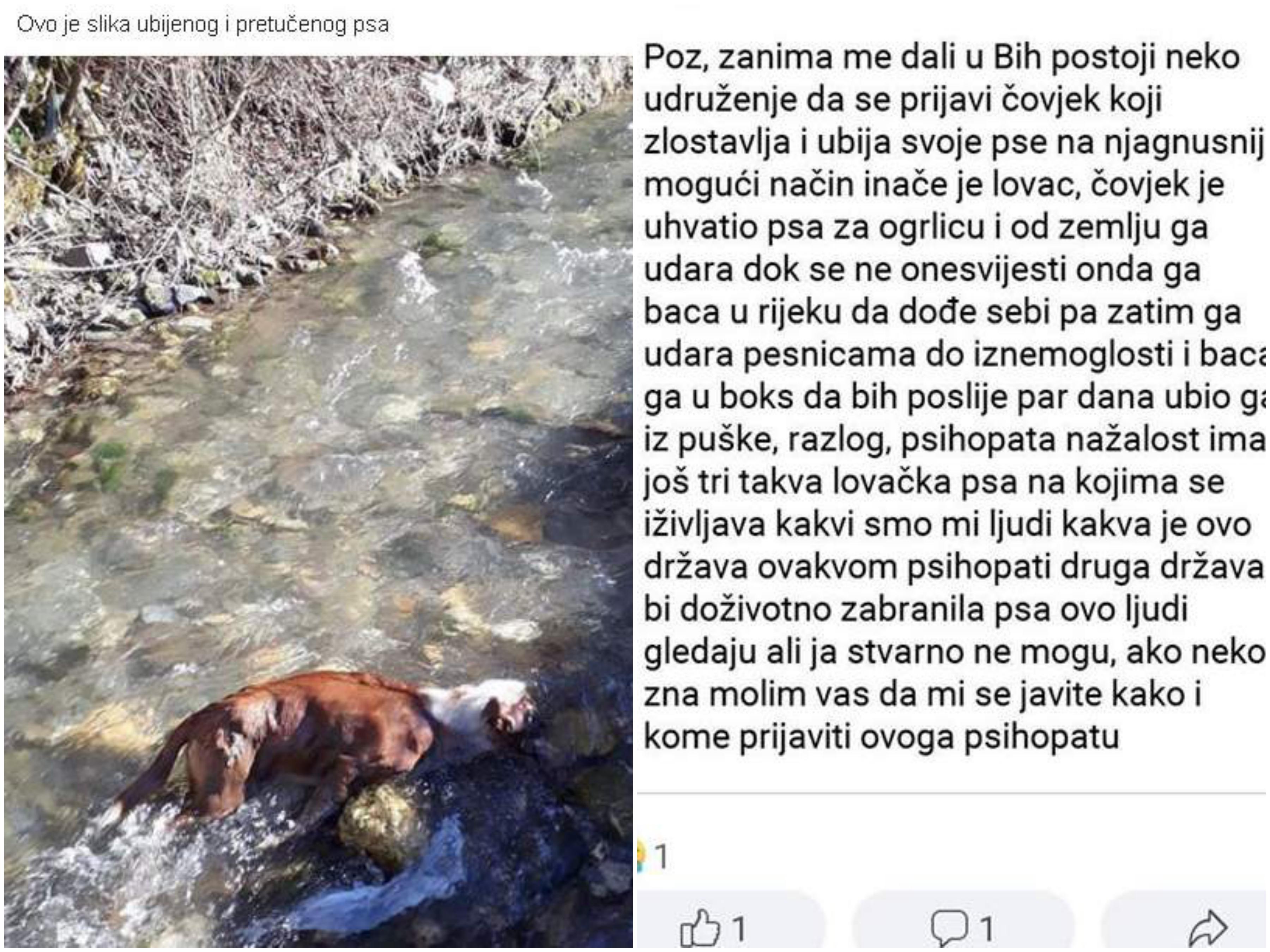 Bacio mrtvog psa u rijeku - Avaz