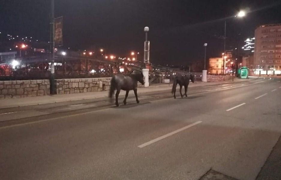 Ljudi nema na ulici, ali zato konji bezbrižno šetaju