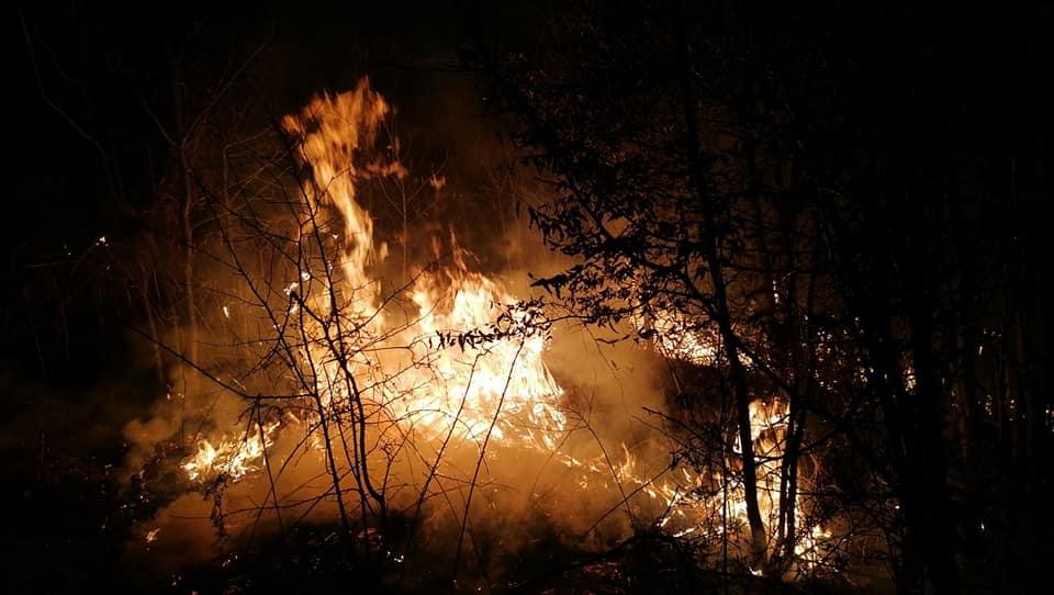 Požar kod Kamenice - Avaz
