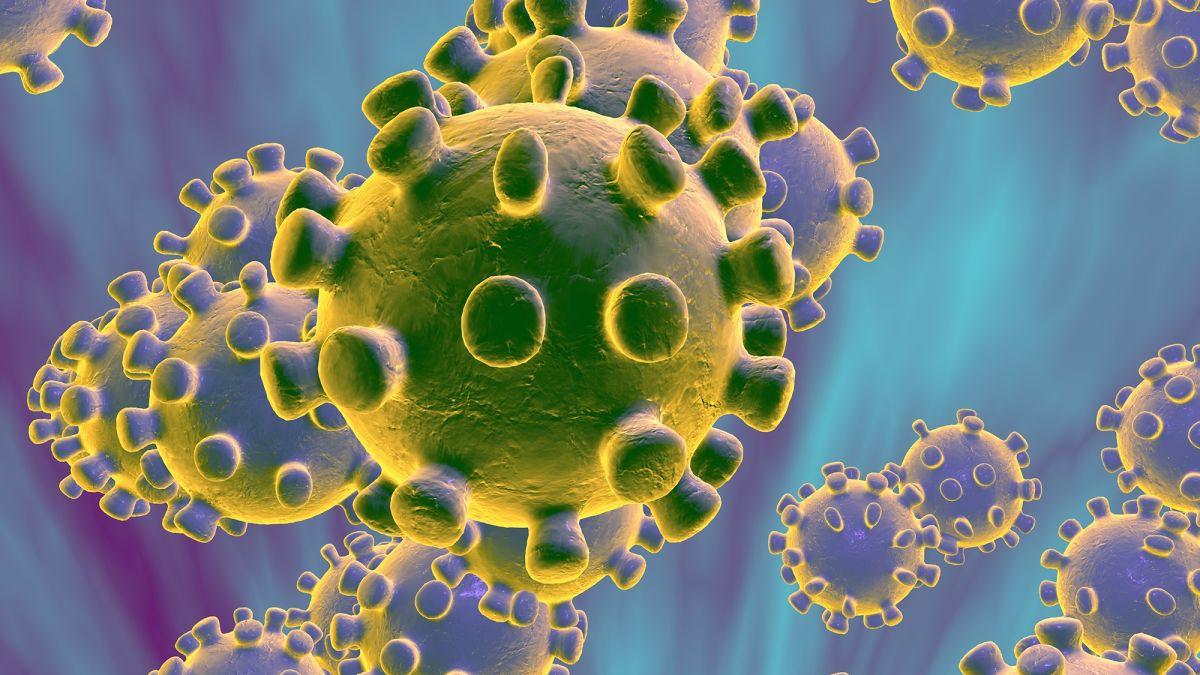 Hara pandemija koronavirusa - Avaz