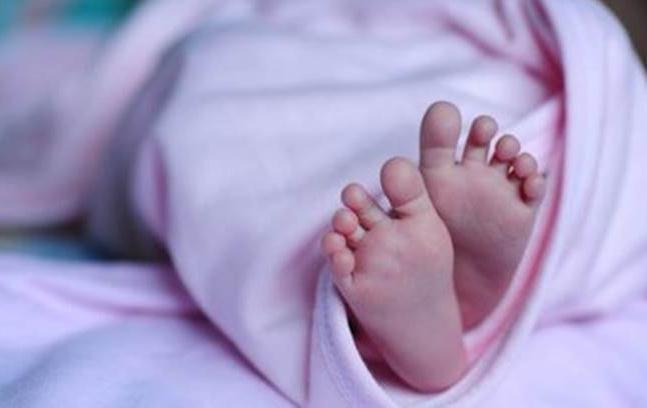 Tri bebe otpuštene iz bolnice - Avaz