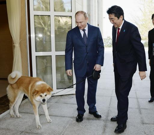 Putinu poklonio psa kao znak zahvalnosti - Avaz