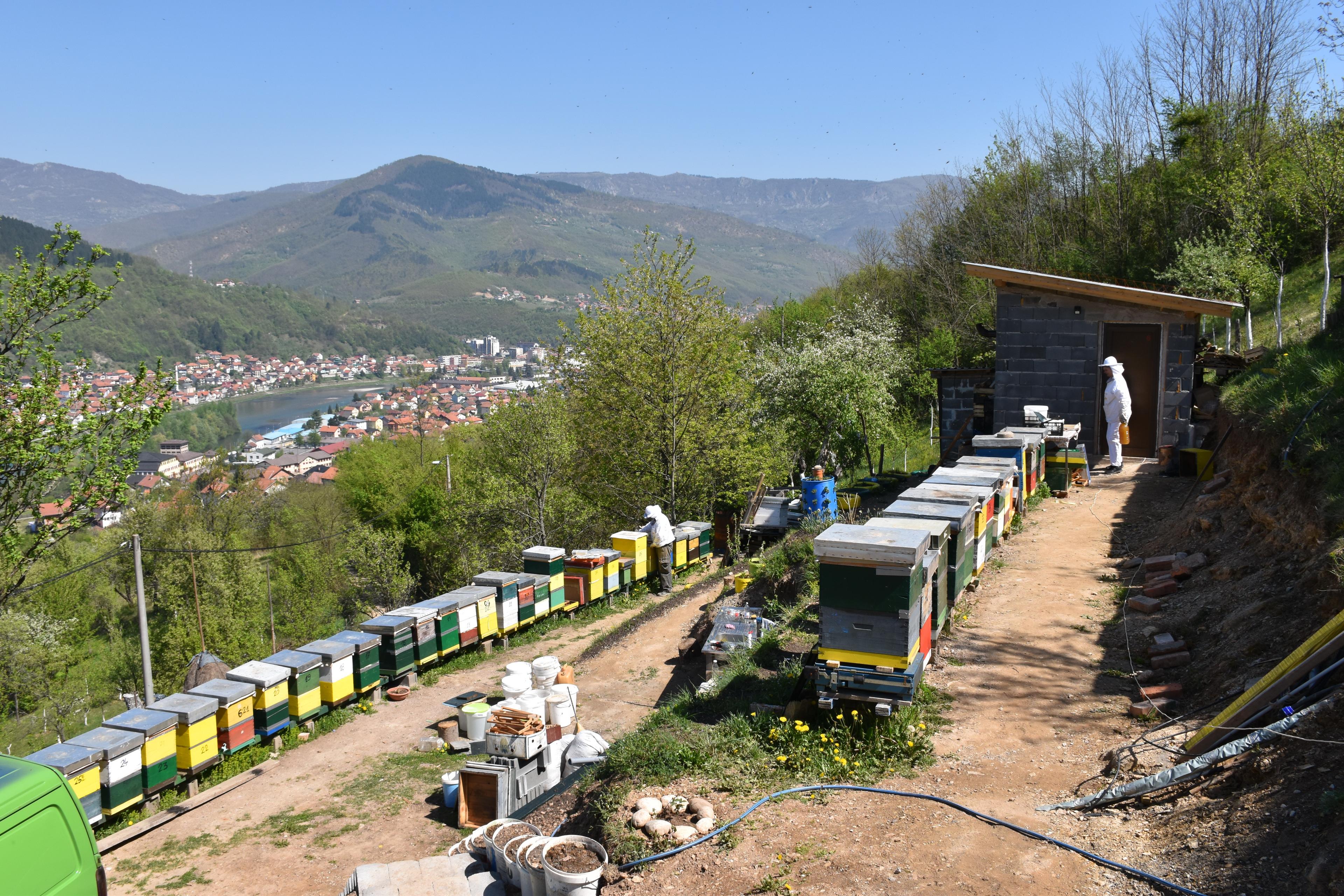 Pčelinjak u Barama, na periferiji Goražda - Avaz