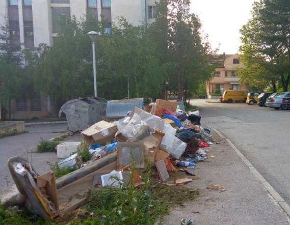 U toku višednevna akcija čišćenja Livna