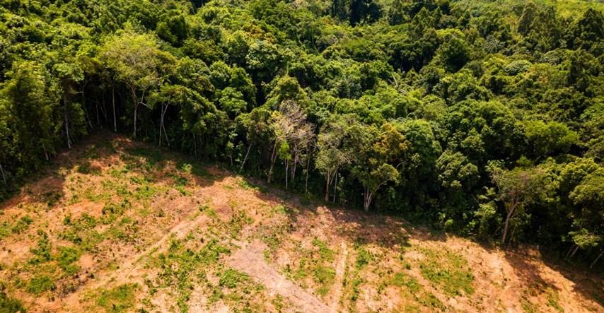 Od januara do aprila, 'izbrisano' je 1200 kvadratnih kilometara šume - Avaz