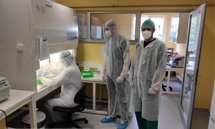 Na Veterinarskom fakultetu u Sarajevu izoliran bh. soj koronavirusa