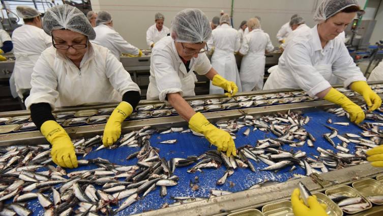 Dramatičan skok broja zaraženih u Stocu: Svih 50 slučajeva se vezuje za Pogon za preradu ribe