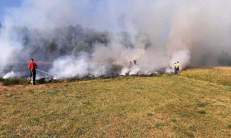 Požar kod Livna - Avaz