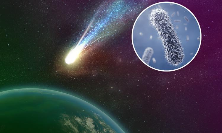 Naučnici tvrde da je koronavirus na zemlju dospio iz svemira !?