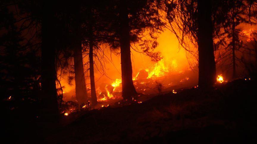 Aktuelni požari jasan pokazatelj pogubnih posljedica klimatskih promjena - Avaz