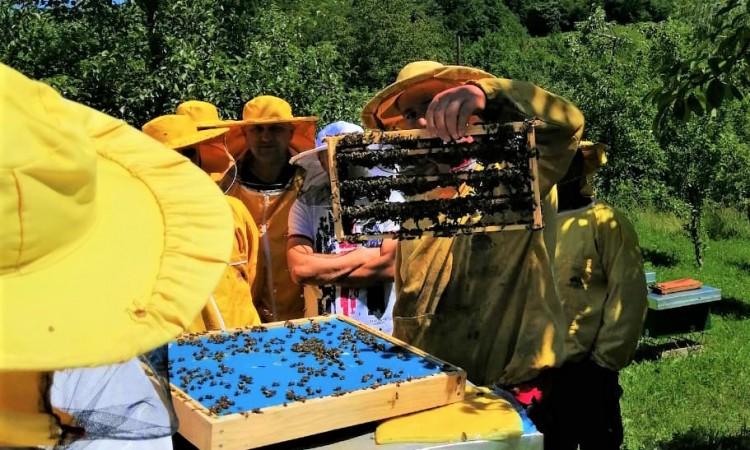 Pčelari će prezentirati znanja i iskustva - Avaz