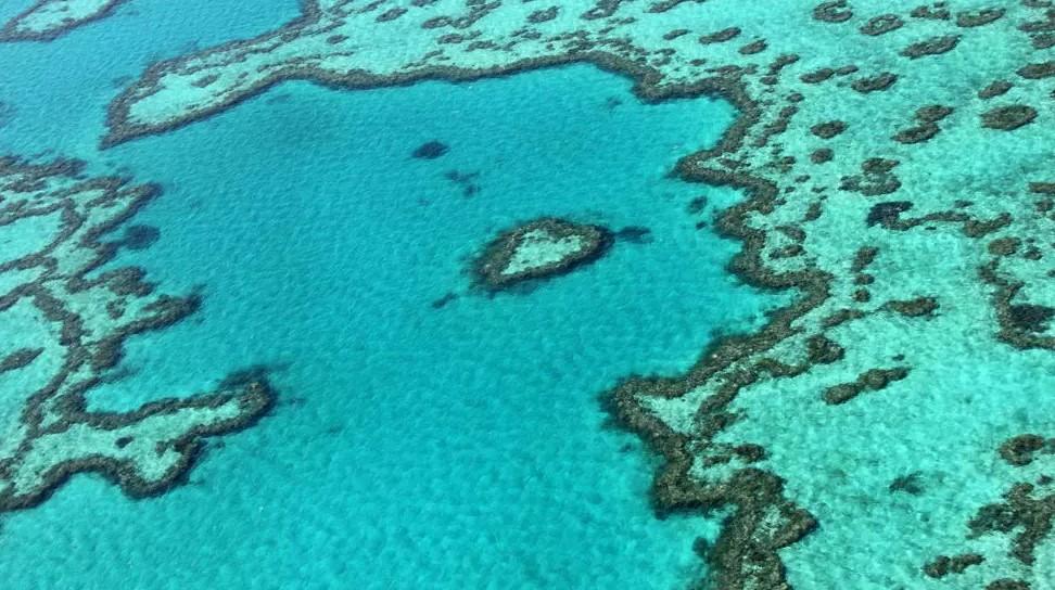 The Great Barrier Reef off the coast of the Australia has suffered coral bleaching - Avaz