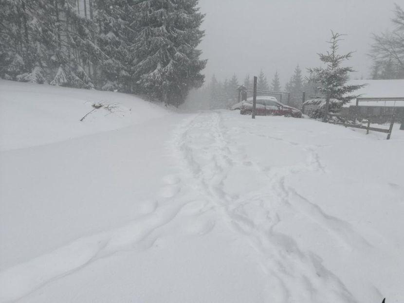 Kolaps u Sjenici zbog snijega: Šlogirani vozač saniteta jedva dobio pomoć, više od 1.000 kuća u mraku