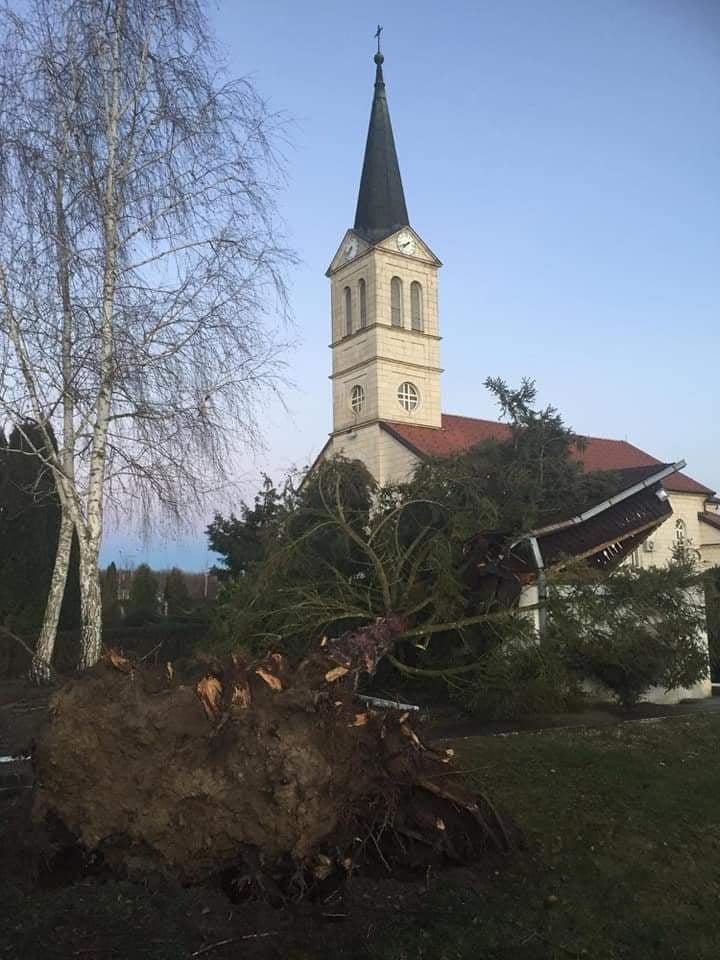 U selu Boće u Brčkom distriktu  vjetar noćas iščupao bor - Avaz