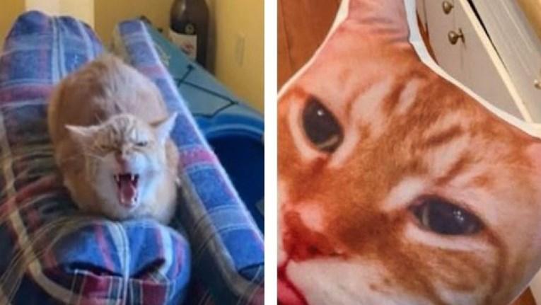 Kupio je jastuk s printom lica njegove mačke, njena reakcija mnoge je nasmijala