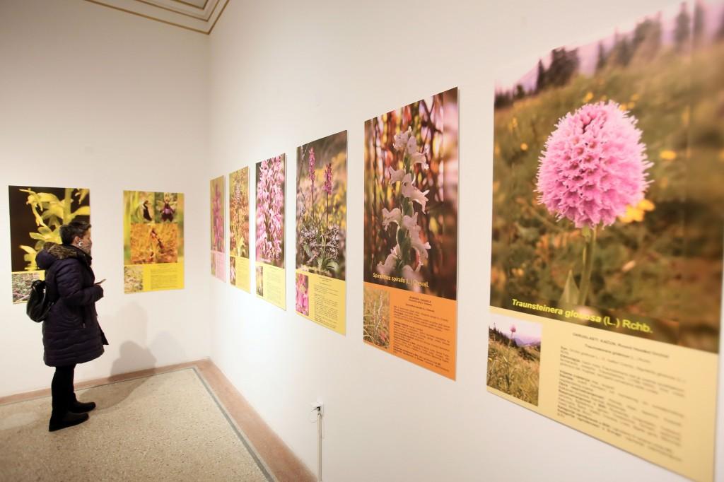 Zemaljski muzej obilježio 133 godine uz Hagadu, orhideje i kafu - Avaz