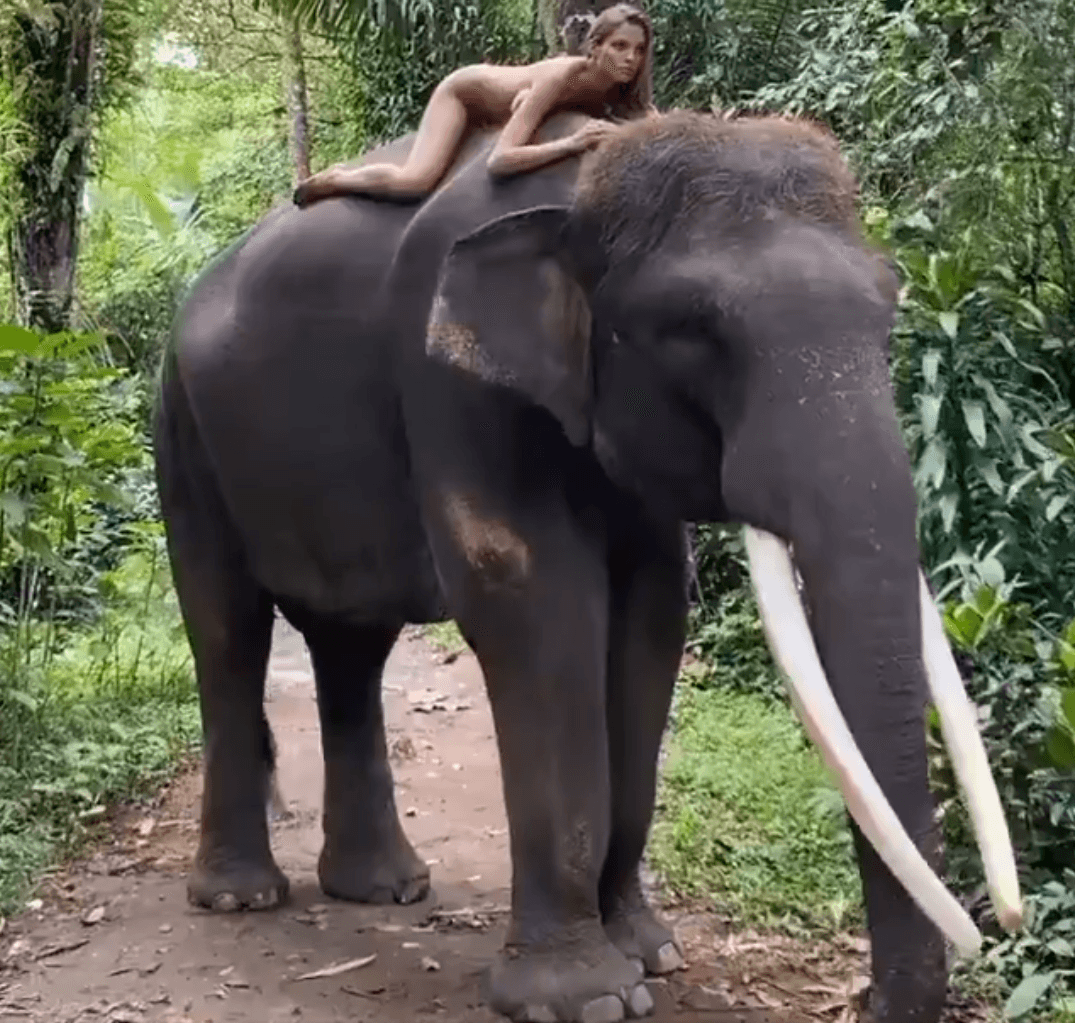 Alesija Kafelnikova fotografirala se gola na slonu - Avaz