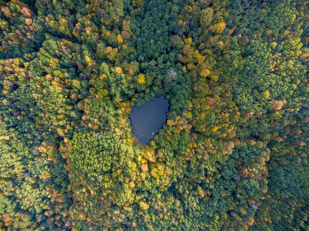 Jezero u šumi, Rusija - Avaz