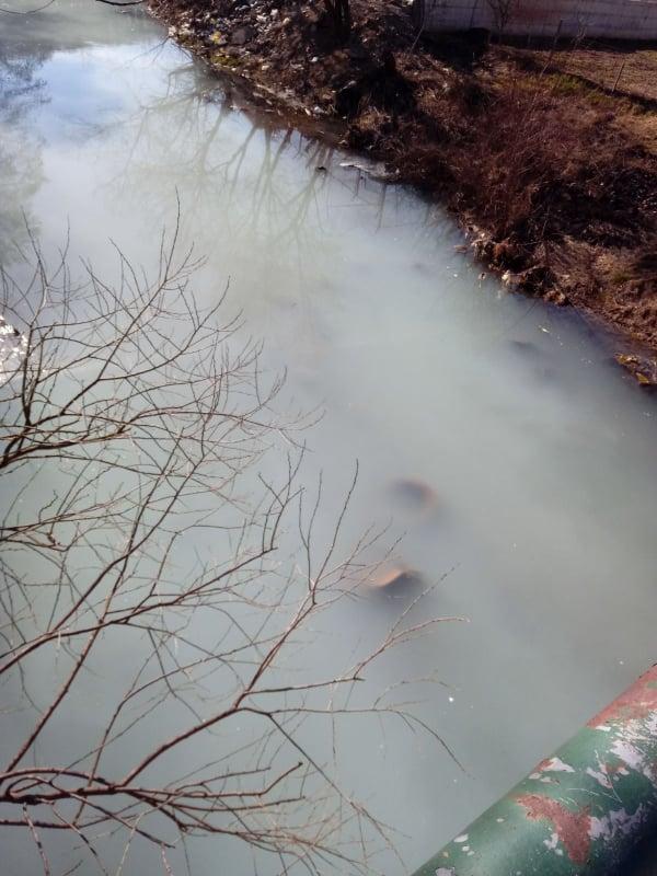 S ogorčenjem kažu da je rijeka zagađena skoro svaki dan - Avaz