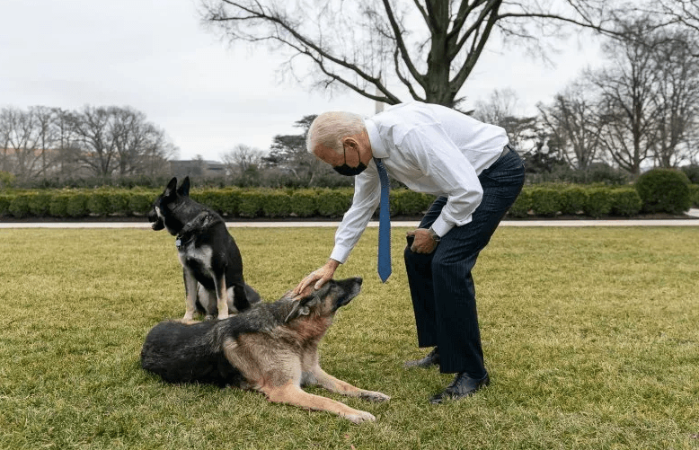 Bajdenov pas ugrizao člana osiguranja Bijele kuće