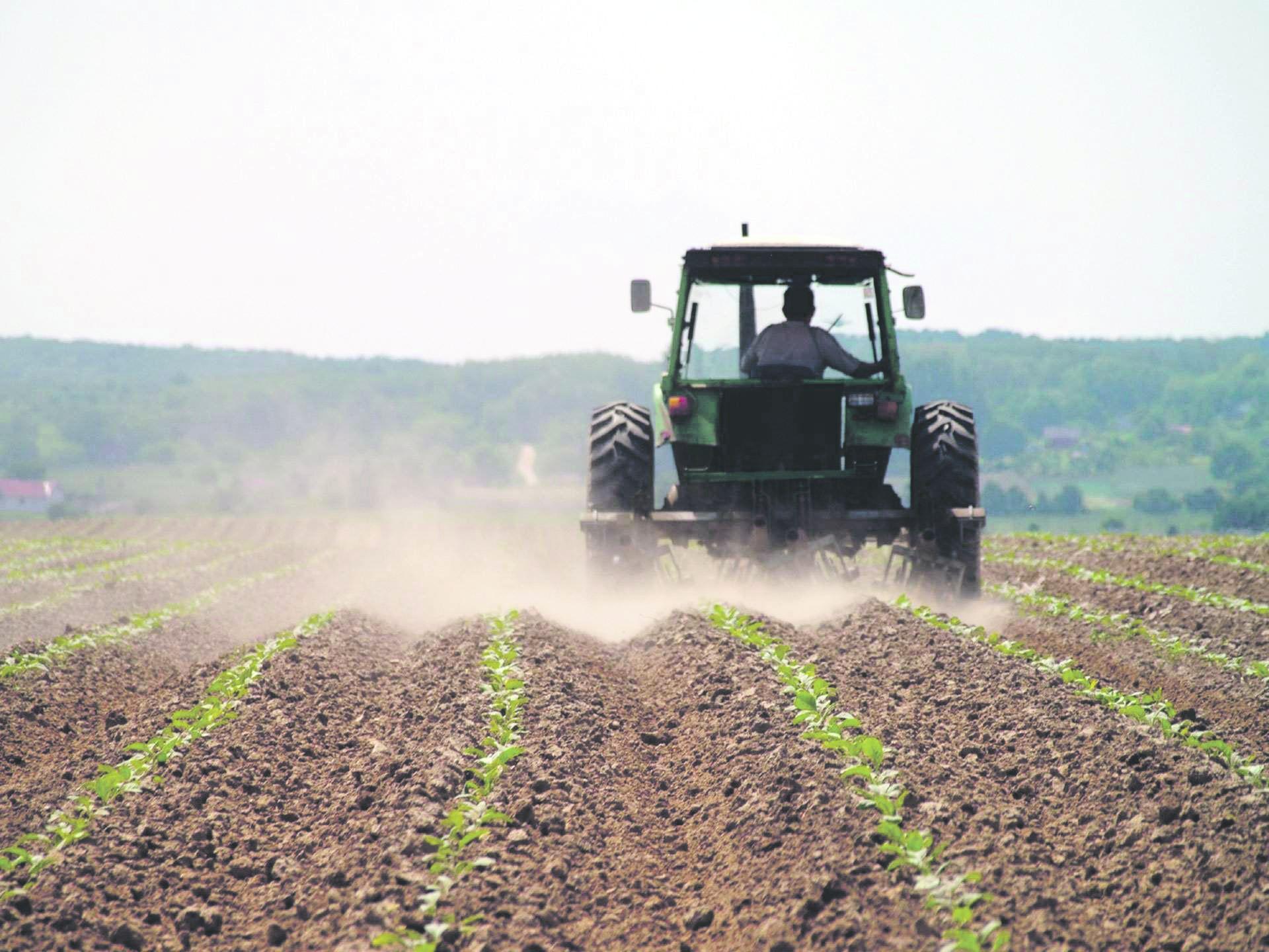Poljoprivrednici traže od Vijeća ministara mjere za zaštitu domaće proizvodnje