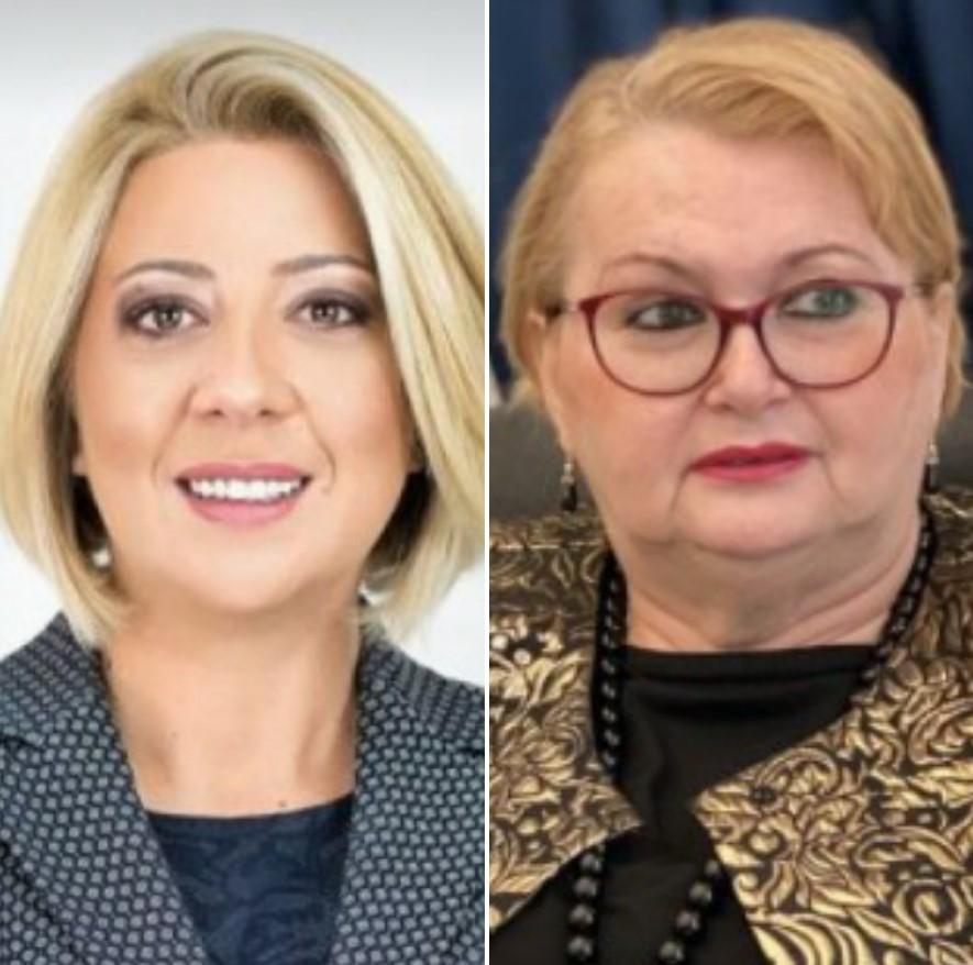 Edita Đapo: Ministrica obilazi arapske zemlje umjesto da radi na nabavci vakcina - Avaz