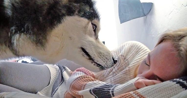Vlasnica se prevarila da želi spavati u krevetu svog psa, njegova reakcija ju je nasmijala
