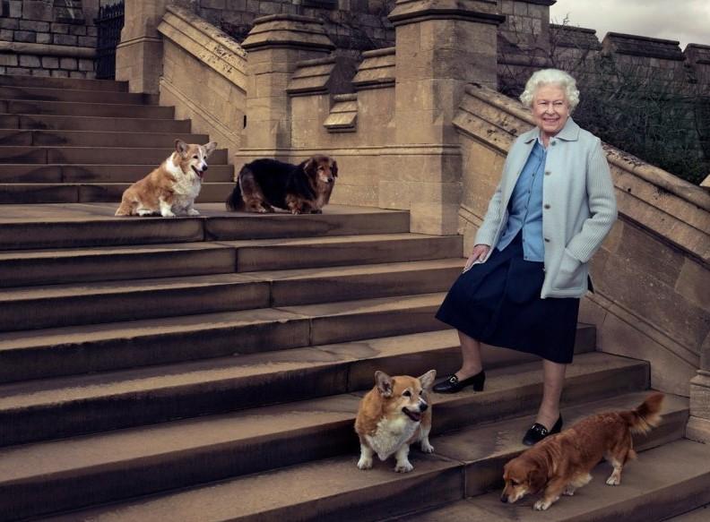 Kraljica Elizabeta sa omiljenim psima - Avaz