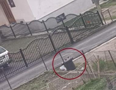 Strava u Prijepolju: Majka ugušila novorođenče i bacila ga u kontejner