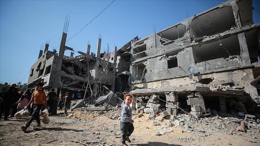 Online conference discusses reconstruction of Gaza