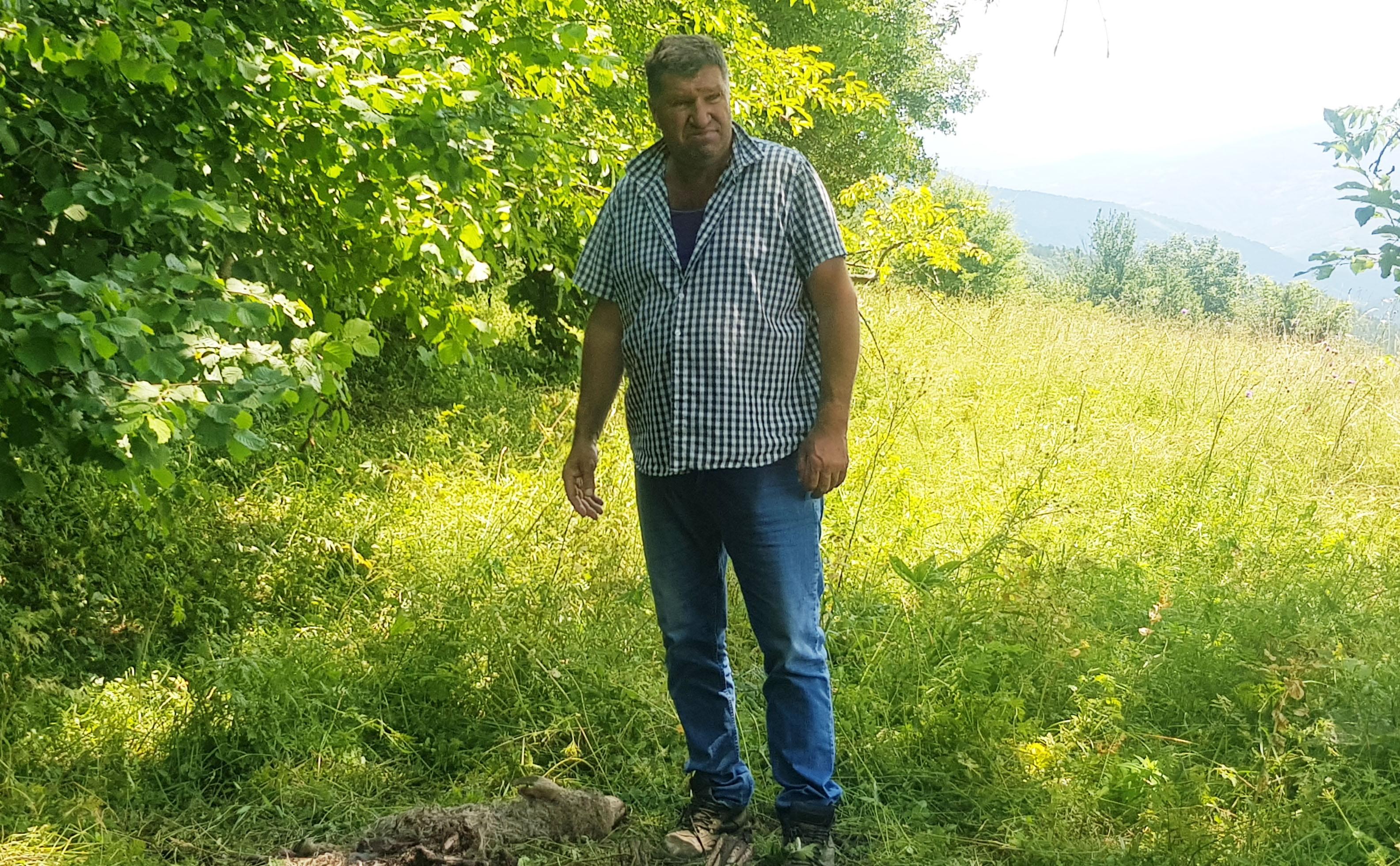 Turković: Moja porodica i ja živimo od stočarstva - Avaz