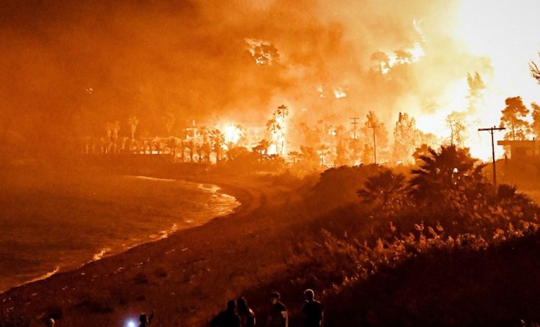 Više od 3.000 hektara borove šume i maslinika izgorjelo je u Ahaji - Avaz