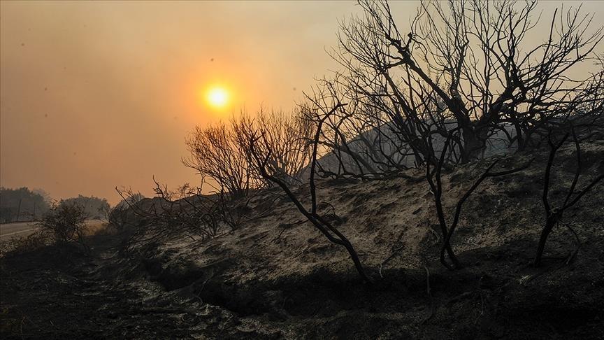 Russia fighting 222 massive wildfires