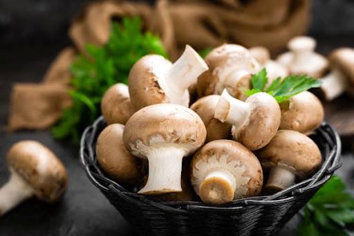 Gljive čuvaju zdravlje mozga