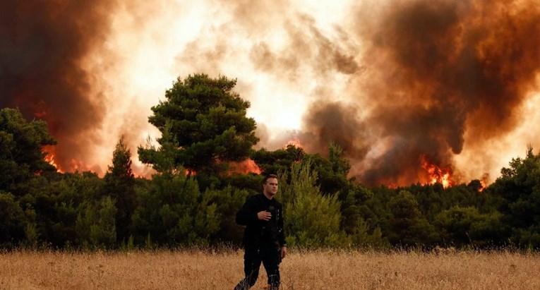 Više od četvrt miliona hektara borove šume izgorjelo je u avgustu - Avaz