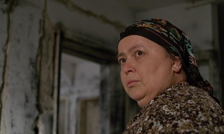 Film Adisa Bakrača "Švedsko srce moje majke" osvojio dvije nagrade
