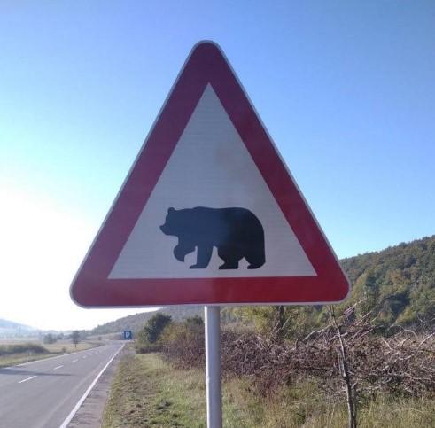 Postavljen prvi saobraćajni znak sa siluetom mrkog medvjeda u BiH