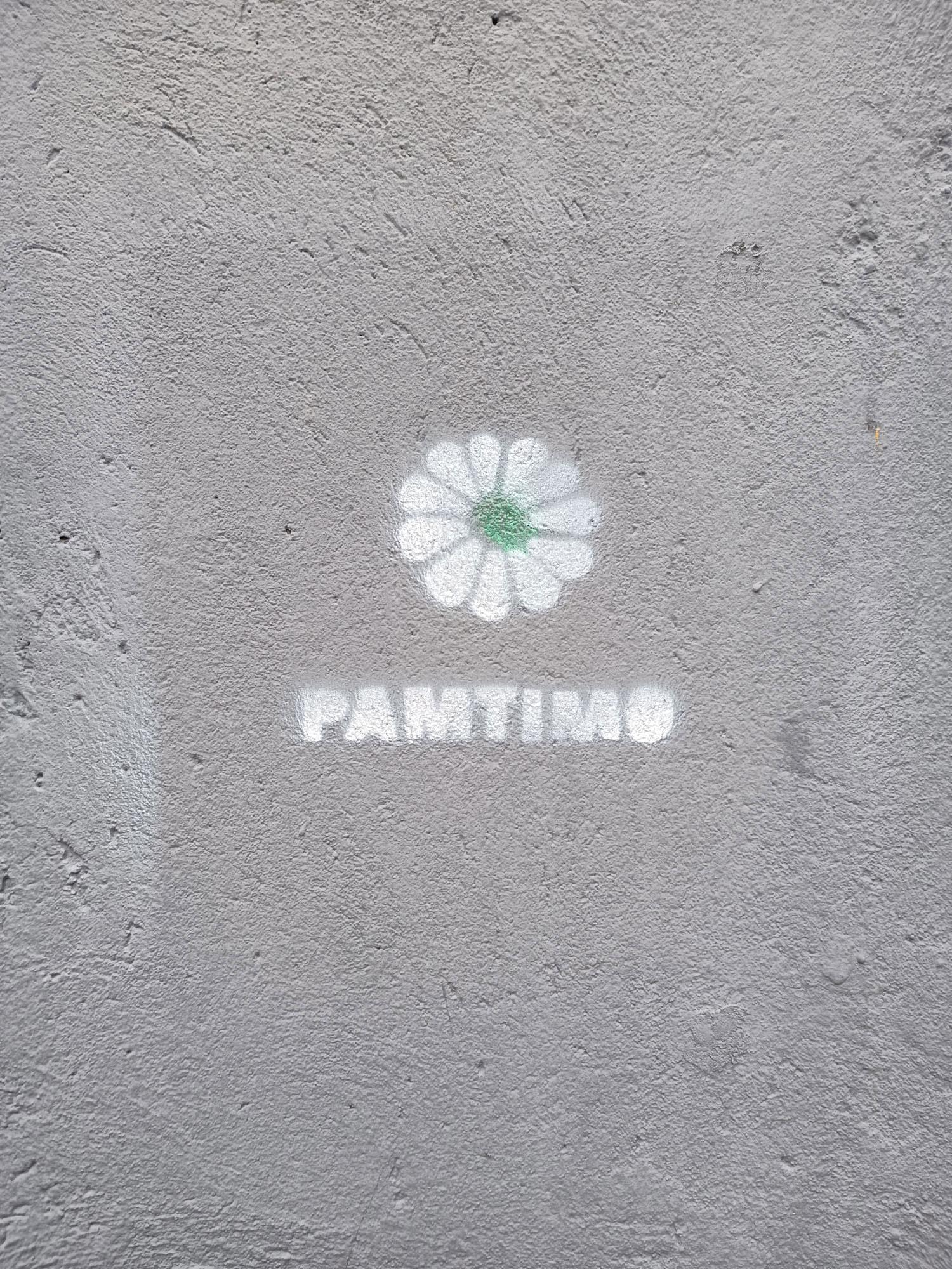 Grafiti "Cvijet Srebrenice" na beogradskim ulicama - Avaz