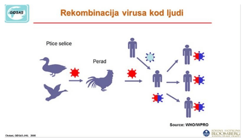 Nakon što nestane jedan virus, zamijenit će ga neki drugi, koji može uzrokovati pandemiju - Avaz