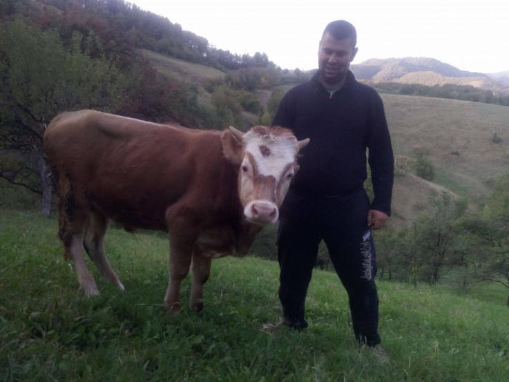 Uzgajivač bikova Almin Kolić osuđen na devet godina zatvora zbog ubistva amidže Redžiba