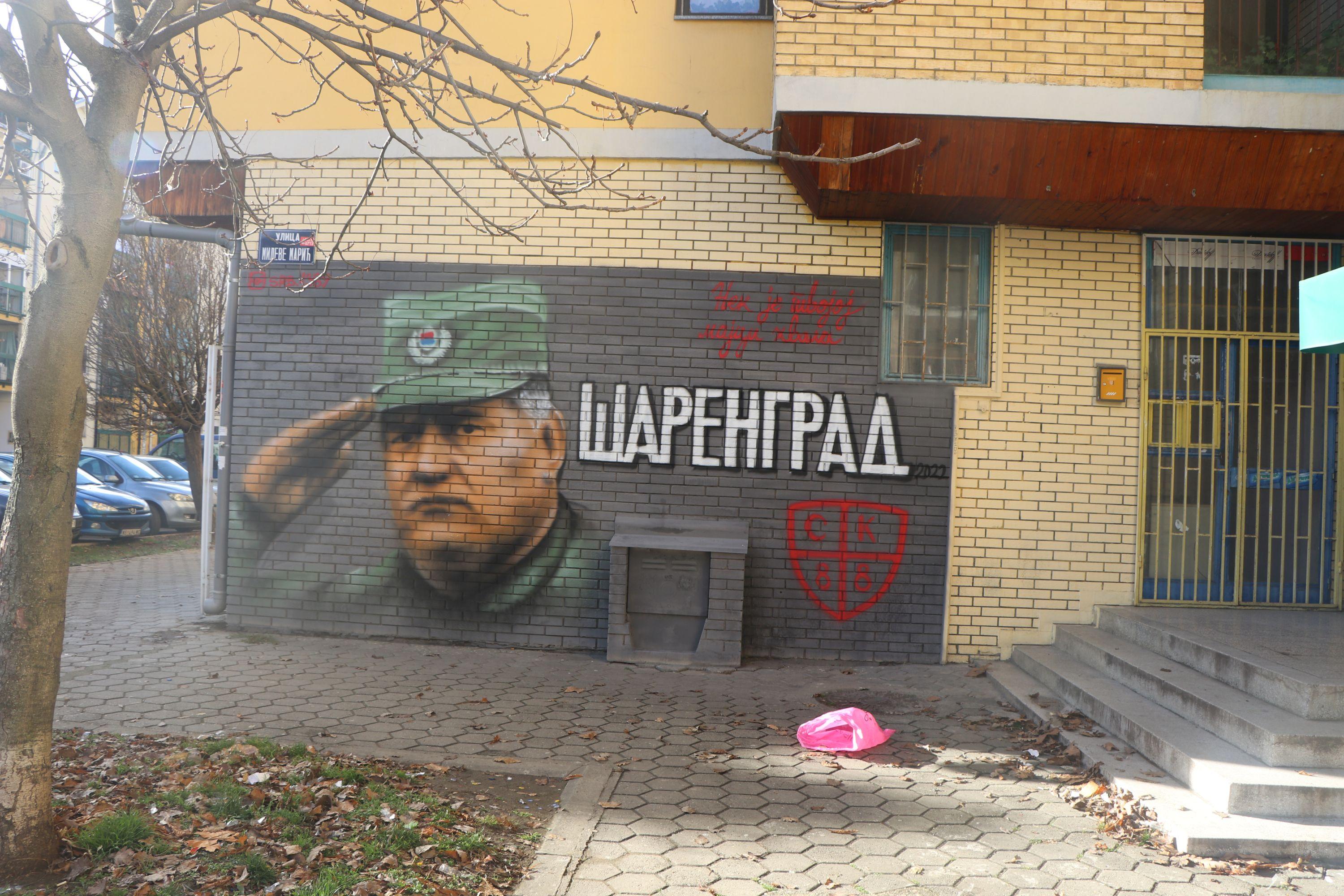 Mural posvećen ratnom zločincu Ratku Mladiću - Avaz