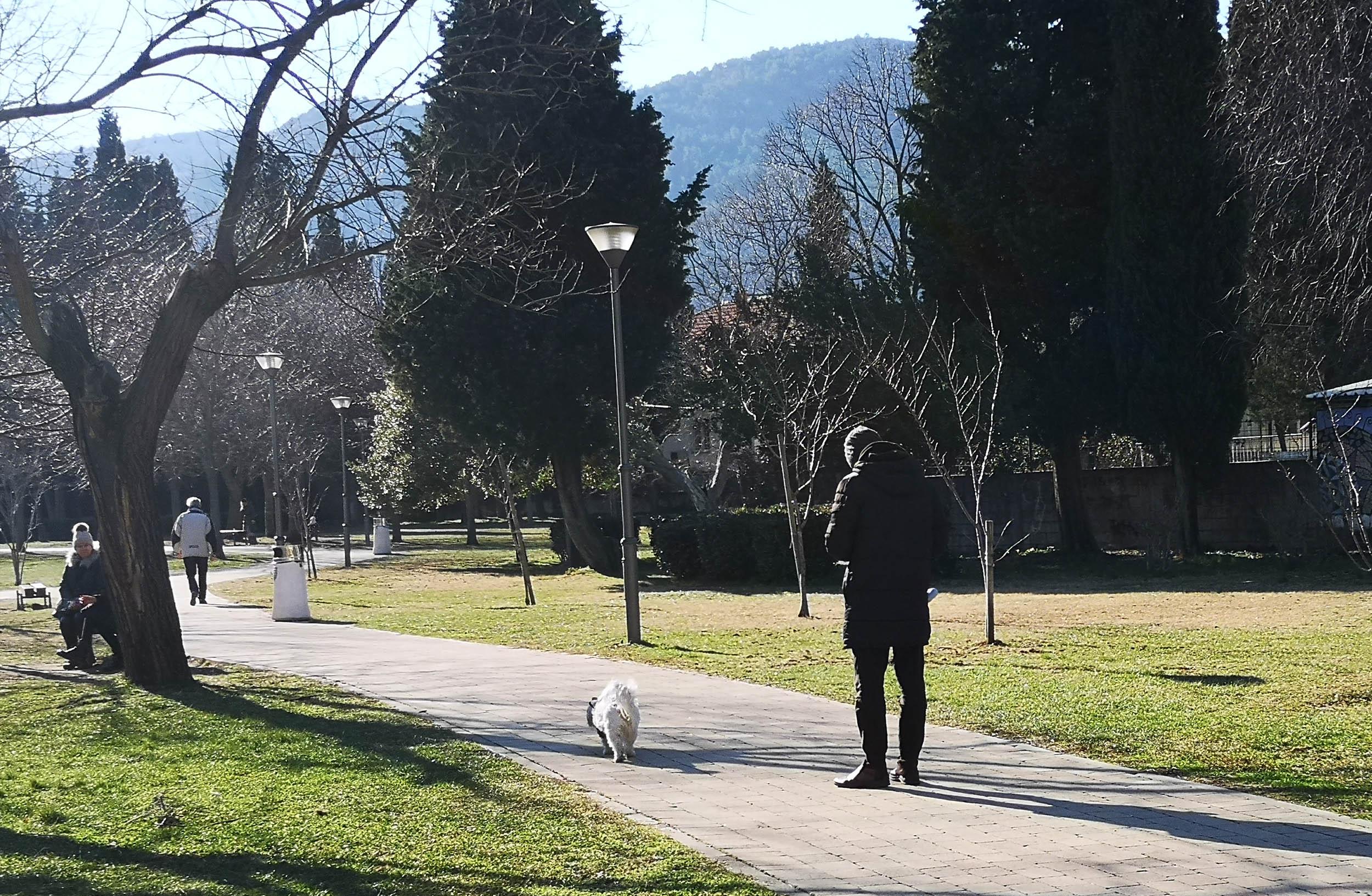 U gradskom parku: Iako je zabranjeno, vlasnici šetaju svoje ljubimce - Avaz