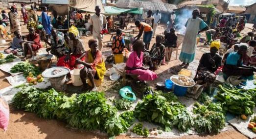 Ujedinjene nacije: Oko 13 miliona ljudi u Keniji, Somaliji i Etiopiji se suočava sa teškom glađu